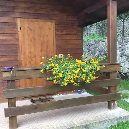 Cottage Grace'S House